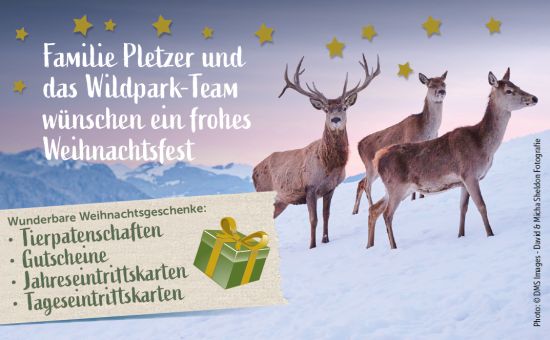 WP_Weihnachtsgrüße_522x369px Homepage Bild